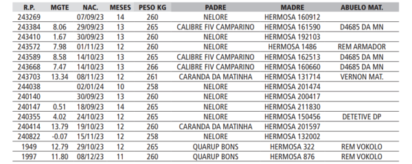 Lote LOTE 47