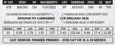 Lote LOTE 11 - BOZAL