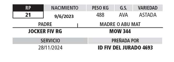 Lote LOTE 14