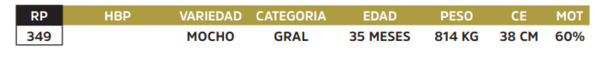 Lote LOTE 23