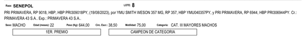 Lote LOTE 8