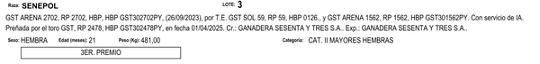 Lote LOTE 3