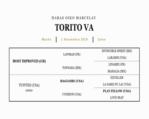 Lote LACERTUS (CITYSCAPE - LARENZIA)