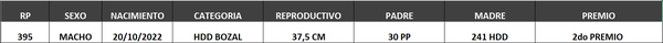 Lote LOTE 65- BOZAL