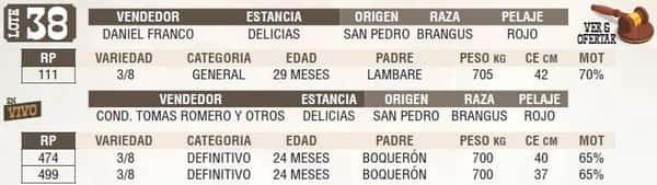 Lote LOTE 38 - EN VIVO