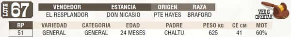 Lote LOTE 67 - EN VIVO