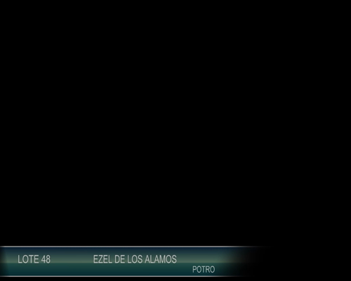 Lote EZEL DE LOS ALAMOS