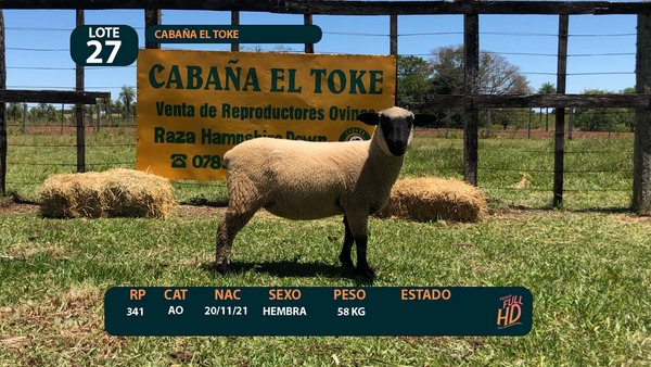 Lote LOTE 27