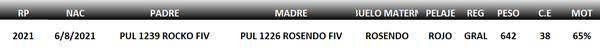 Lote LOTE 53
