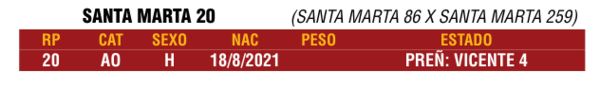 Lote LOTE 39