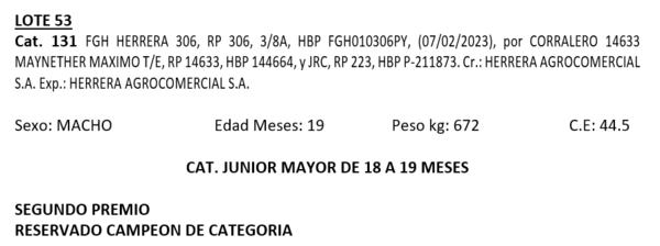 Lote LOTE 53