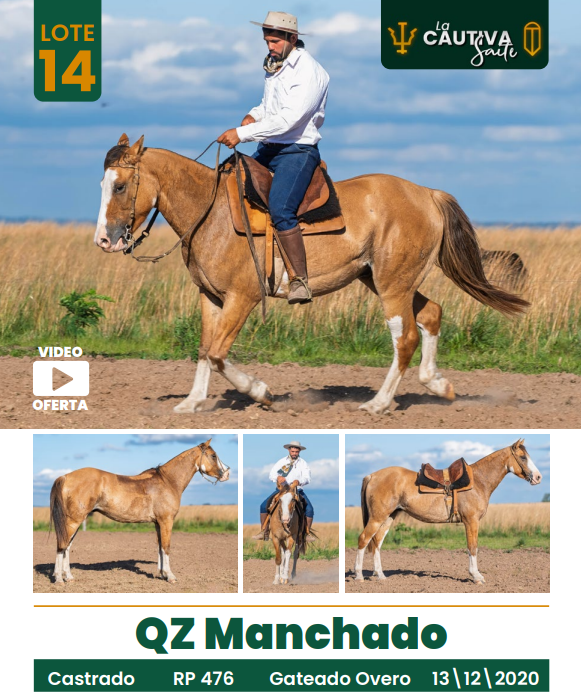 Lote LOTE 14