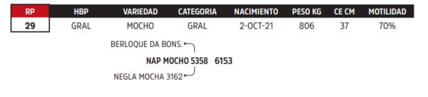 Lote LOTE 8