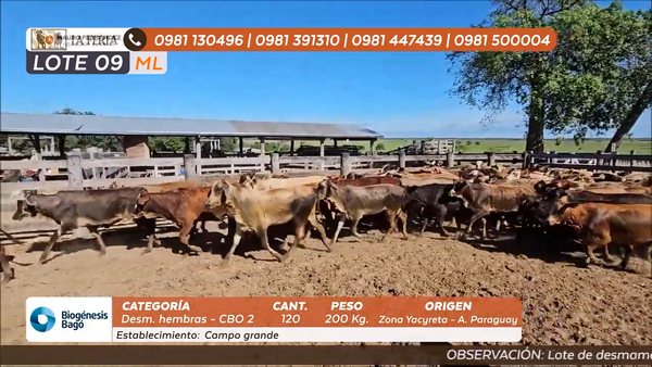 Lote ESTANCIA CAMPO GRANDE