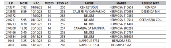 Lote LOTE 48