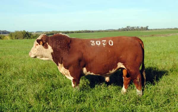 ClicRural