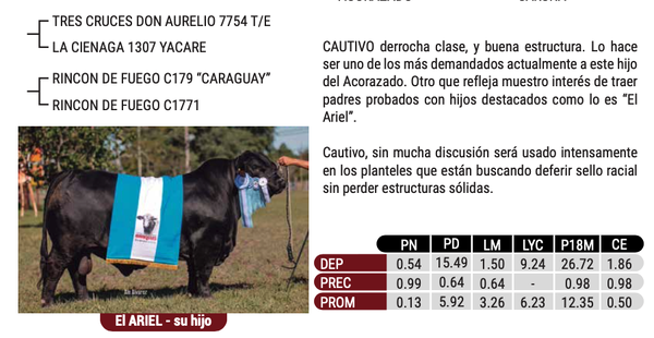 Lote "SELECTA SRL" - CAUTIVO - CAUTIVA 187 ACORAZADO T/E
