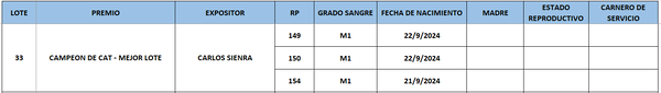 Lote LOTE 33