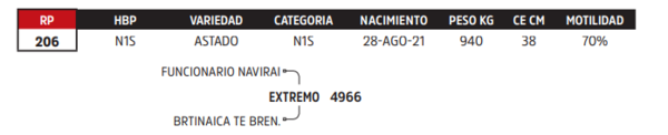 Lote LOTE 63