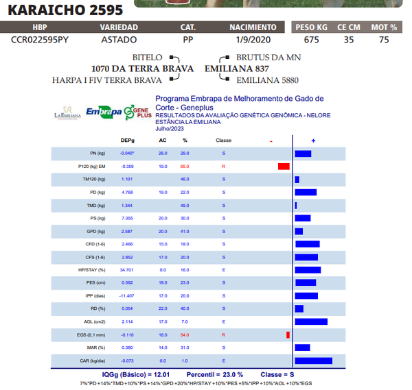 Lote LOTE 79