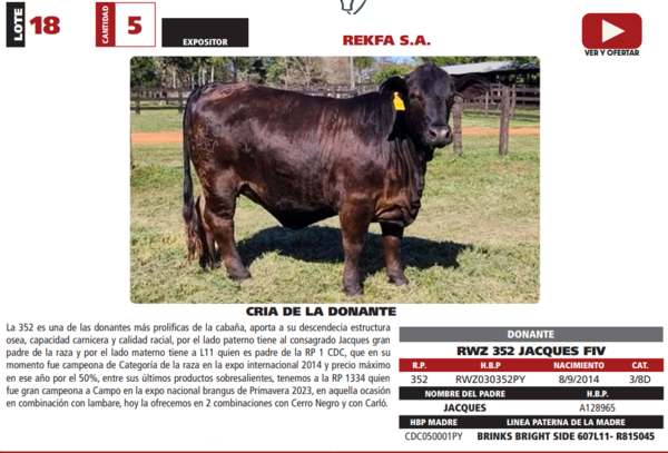 Lote LOTE 18