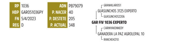 Lote LOTE 15