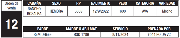 Lote LOTE 12