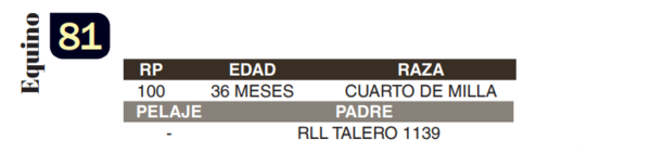 Lote LOTE 81