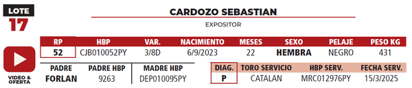 Lote LOTE 17