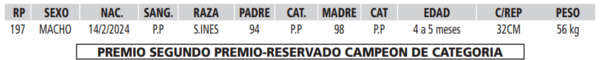 Lote LOTE 26