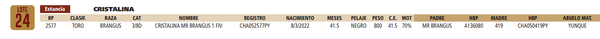 Lote LOTE 24