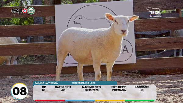 Lote LOTE 8