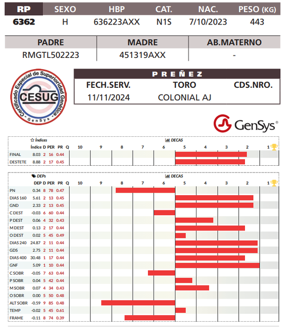 Lote LOTE 8