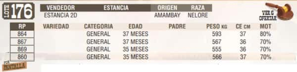 Lote LOTE 176