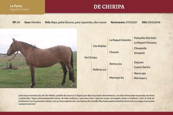 Lote De Chiripa (RP 69) - Cabaña "La Patria"