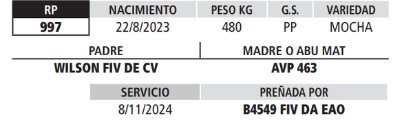 Lote LOTE 26