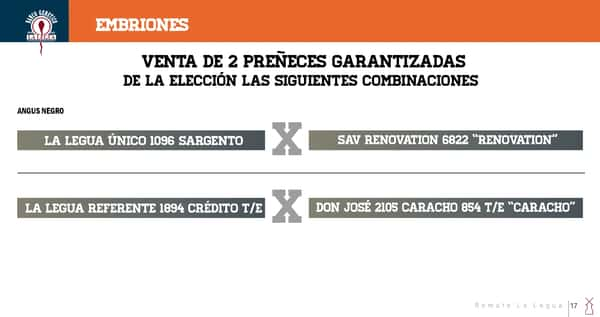 Lote EMBRIONES