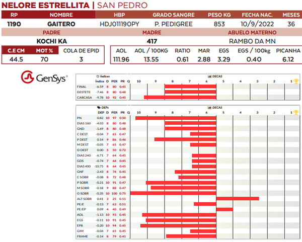 Lote LOTE 5