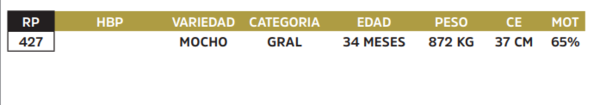 Lote LOTE 8