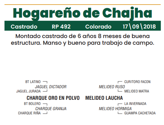 Lote LOTE 18