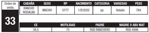 Lote LOTE 33