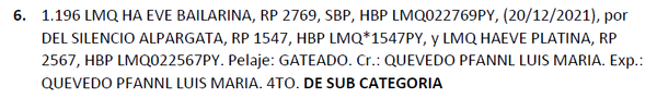 Lote LOTE 6