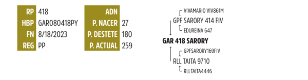 Lote LOTE 27