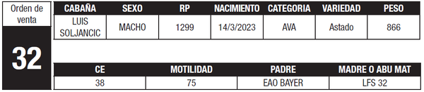 Lote LOTE 32