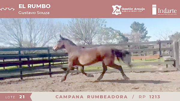 Lote CAMPANA RUMBEADORA