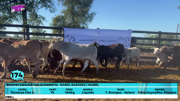 Lote LOTE 174