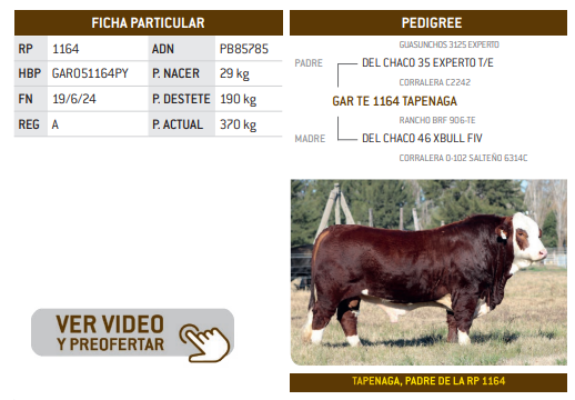 Lote LOTE 4