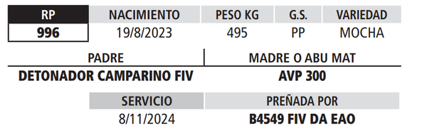 Lote LOTE 2