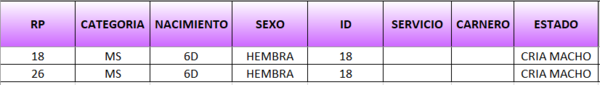 Lote LOTE 15