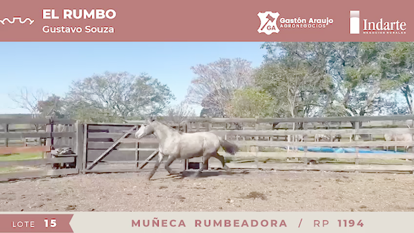 Lote MUÑECA RUMBEADORA